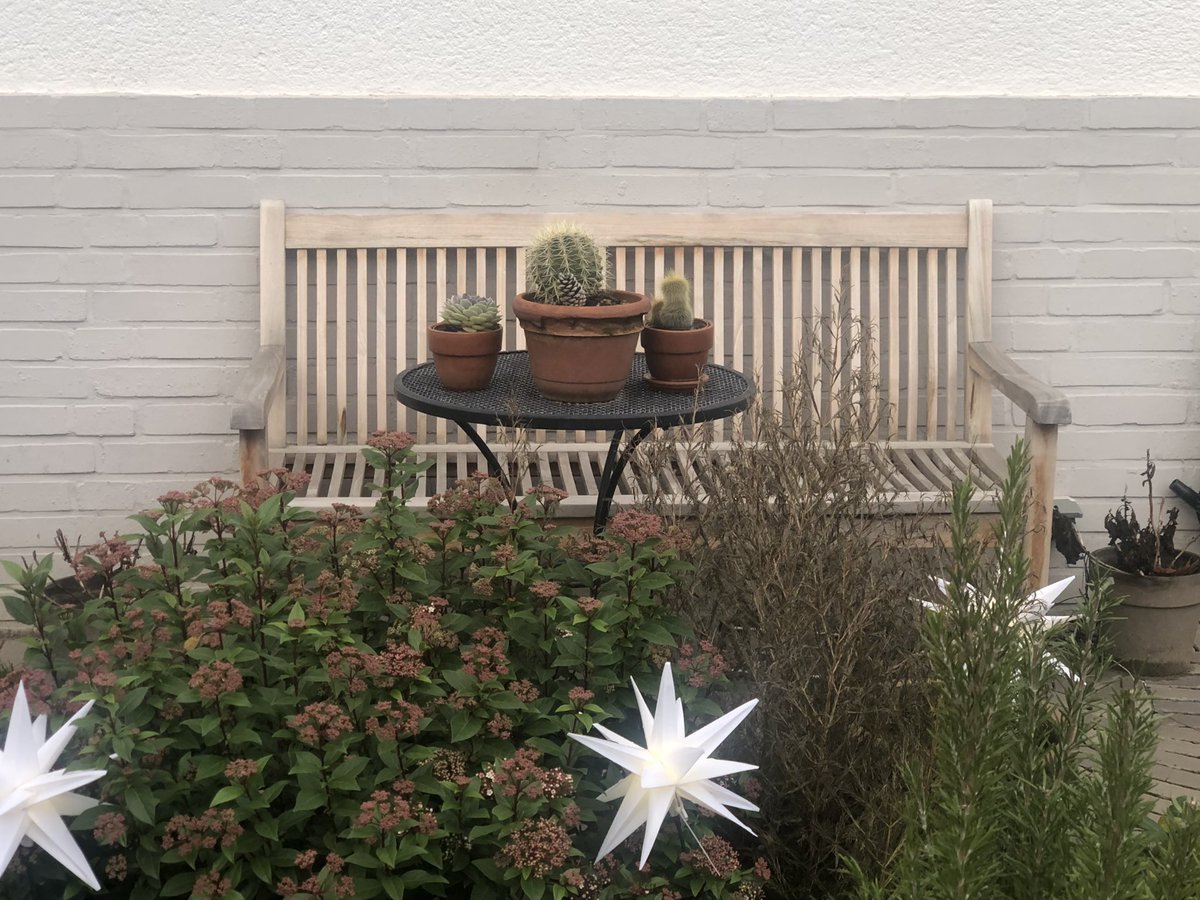 Tacitussi's tweet photo. Guten Tag … Take a seat, relax. Die letzten Weihnachtsdeko Pics 2022. Und Kakteen, meine große Liebe.
Vorbereitungen für Lachsforelle und Dajeelingcreme mit Nougattopping laufen. Gemütlicher Abend mit Exnachbarn …
#neverletgo
#keepcontact
#streetphotography
#cactusmania https://t.co/cJ0EphSZbw