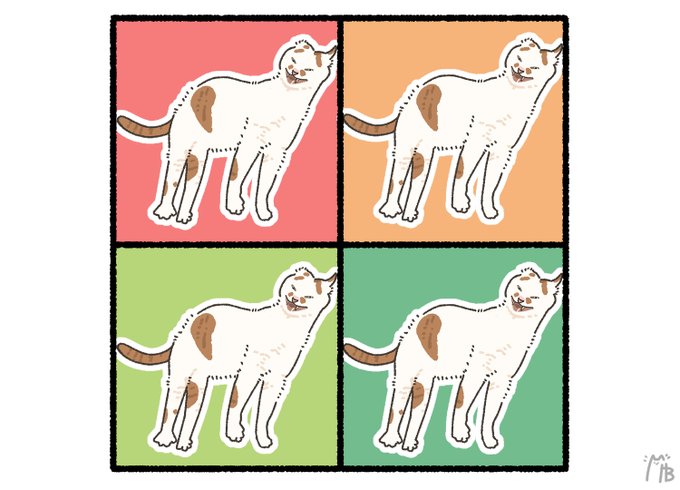 推し猫のモコちゃんをお借りしました🐈 