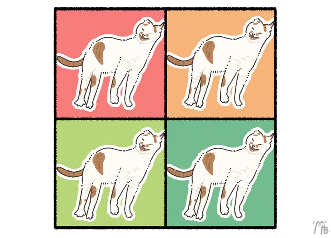 推し猫のモコちゃんをお借りしました🐈 