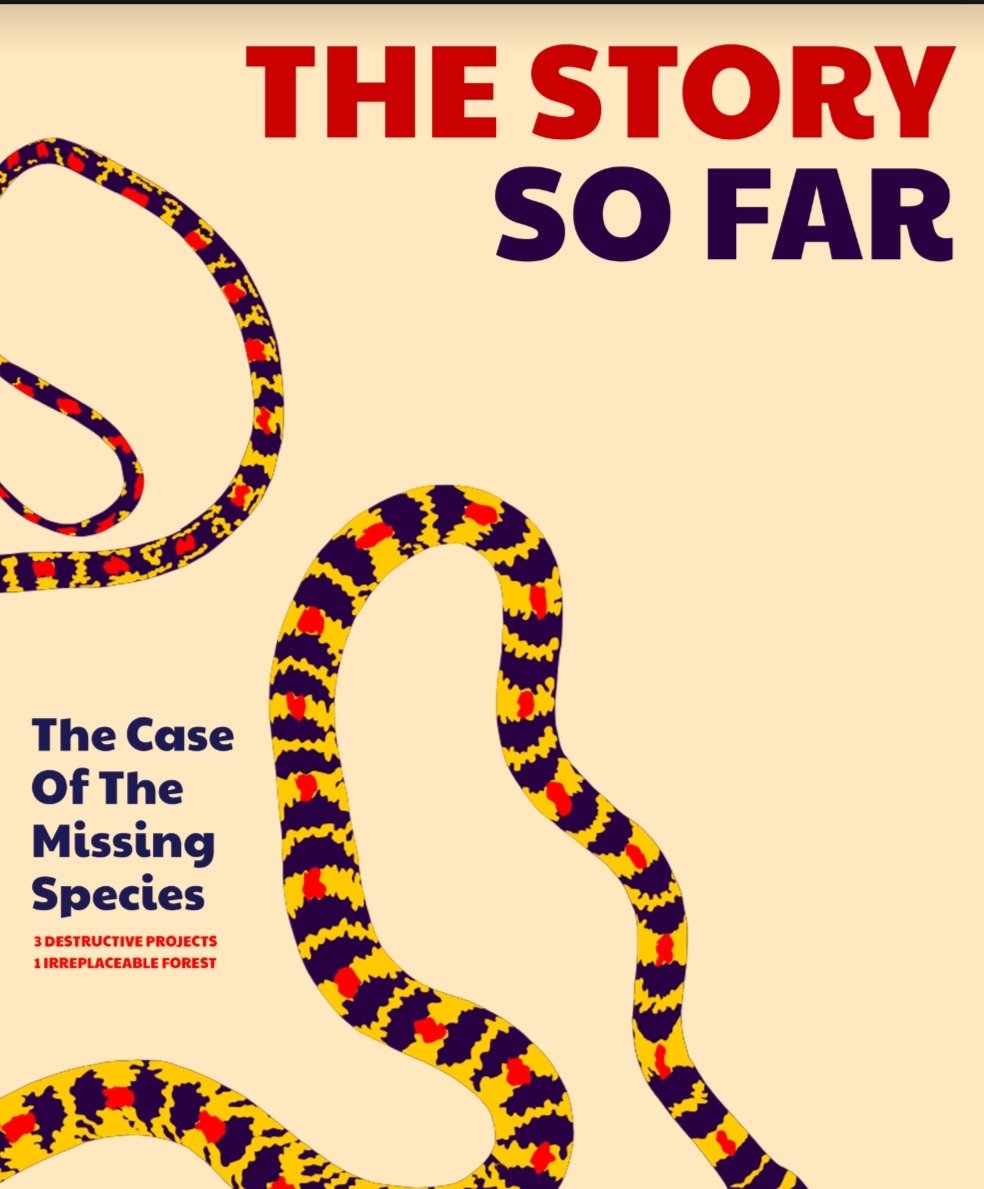 savemollemgoa's tweet photo. Missed out on our public art installation: The Case of the Missing Species?🎨

No problem! Click on the link in our bio to view our explainers, address book and prompts that can help you  write a postcard to key decision makers who have a say in protecting Mollem. 

#SaveMollem https://t.co/AdKr1jlYPV