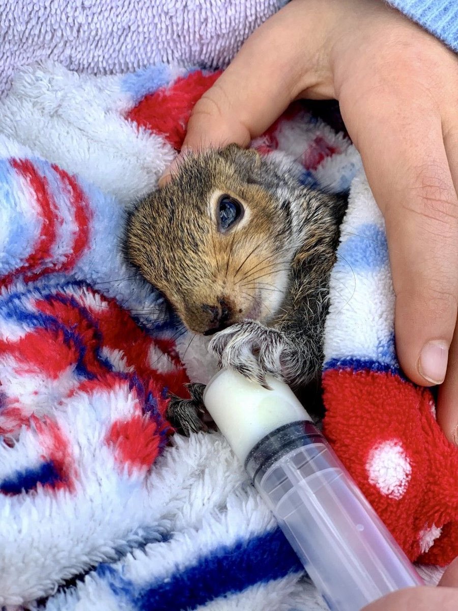 ThirskWeeklyNew's tweet image. Grab your copy of the Thirsk Weekly News as we share Hugo earning the National Young Photographer Accolade. To read the full story plus other great articles, grab your copy of the latest weekly news from one of these retailers - thirskweeklynews.com/where.html #woldclass #thirsk