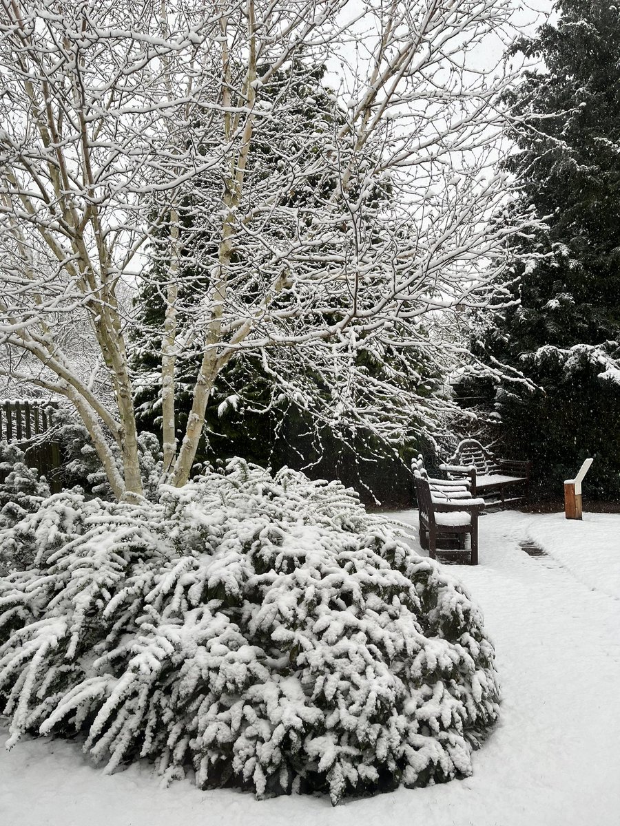 Blairgowrie Yesterday just stunning!