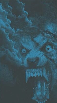 Lilly Myers 🎃🖤🦇💋 tweet media