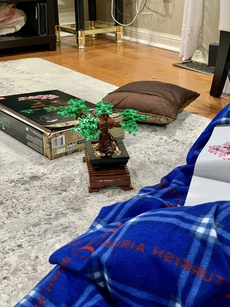 _pray_m's tweet photo. my sister and i built her christmas present in one sitting 🫣 https://t.co/AYr6u3BqTl
