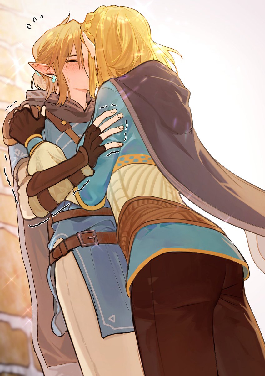 无显 on X: #TOTK #BOTW #Zelda #Zelink #リンゼル  / X