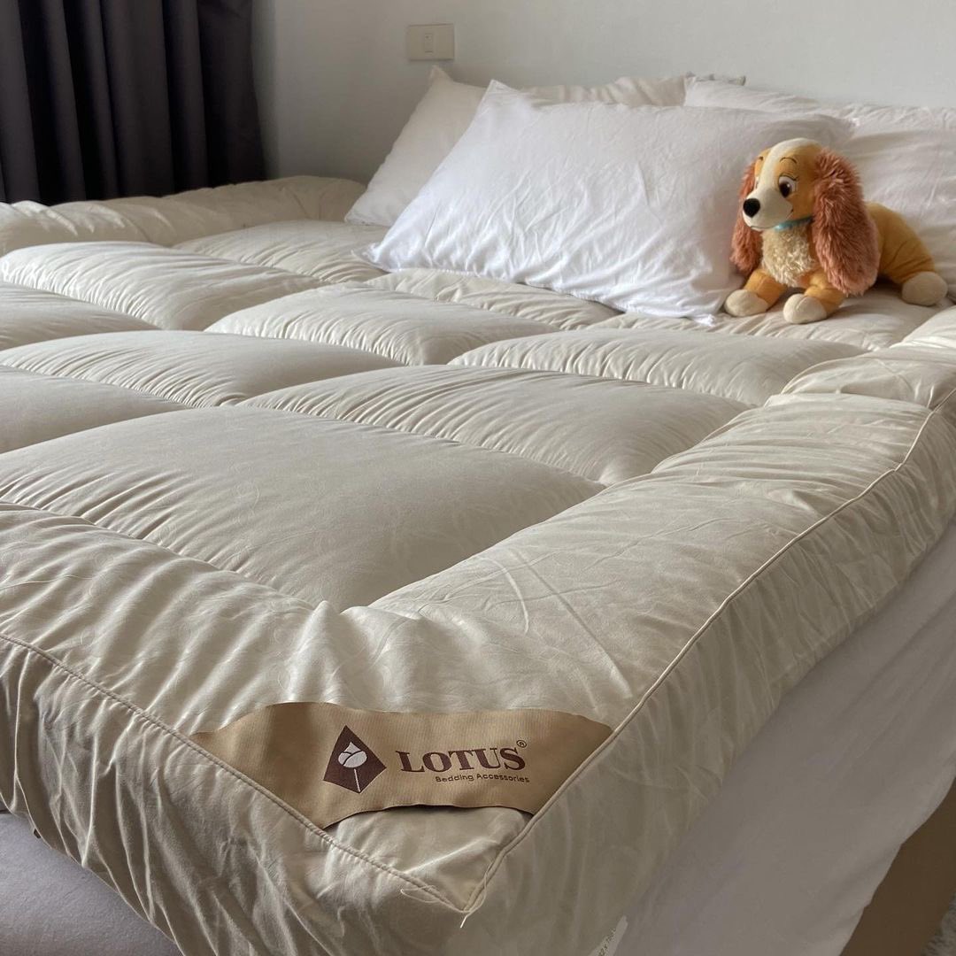 Lotus Bedding tweet media