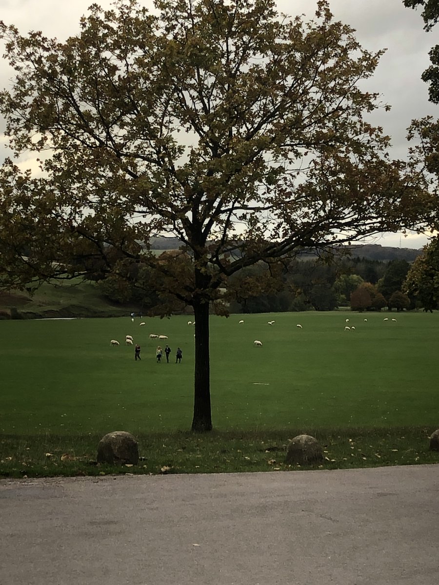 Setting off for the Peak District today walking for #Wellbeing positivity around #mentalHealth