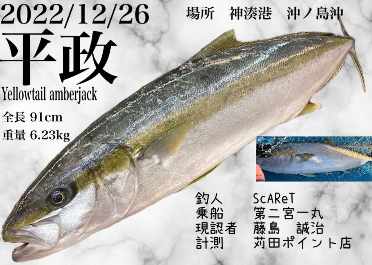 ScA(スカーレット)@サーベルハンター🎣 tweet media