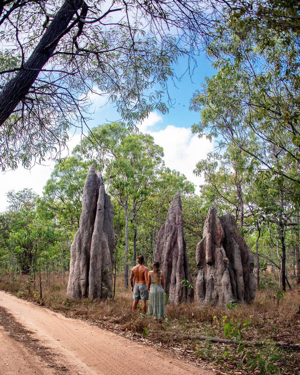 MaximusCampers's tweet photo. It's #hardtoimagine that a #creature barely visible
to the #humaneye could create #monoliths that
dominate the #landscape of #CapeYork.
@zanders.odyssey 
#exploretnq #explorecairnsGBR https://t.co/cWgmXlFU07