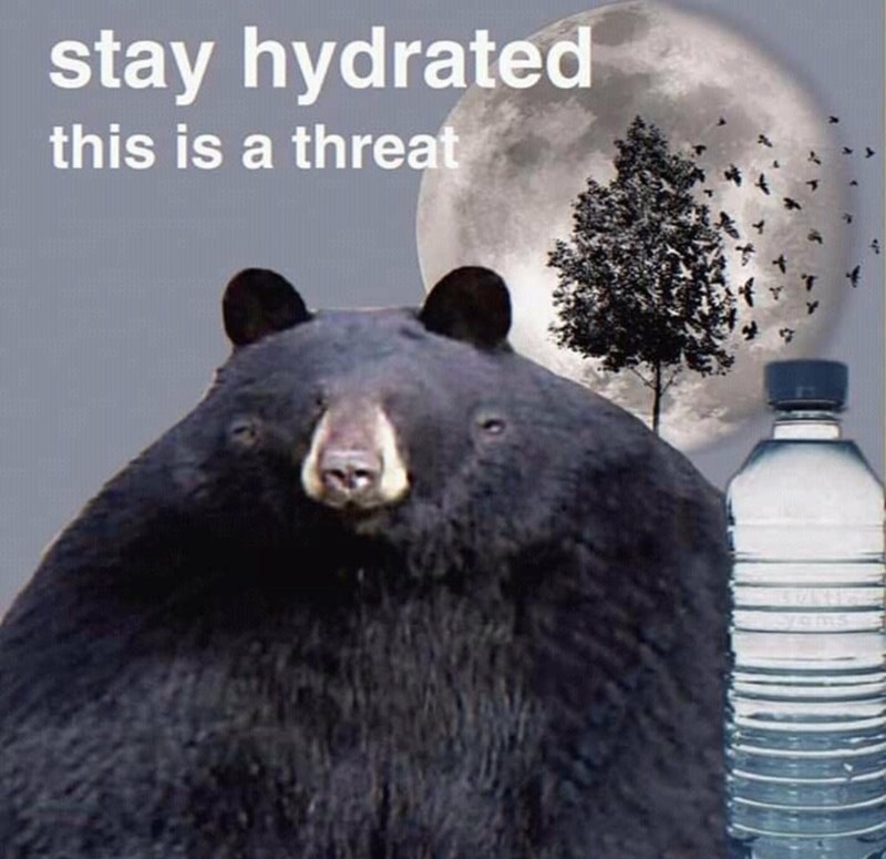 WholesomeMemes tweet media