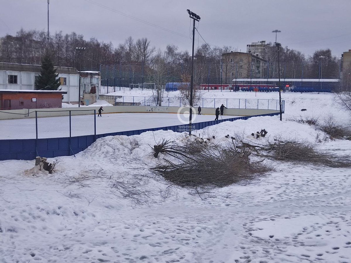 Возле Комсомольского пруда в 8 микрорайоне неизвестные лица спилили деревья 🤨

Одинцовские чиновники сообщили, что никаких разрешение на вырубку не давали:

"По информации от ТУ Одинцово в настоящее время работ по санитарной обрезке и вырубке деревьев ... vk.com/odi_city?w=wal…