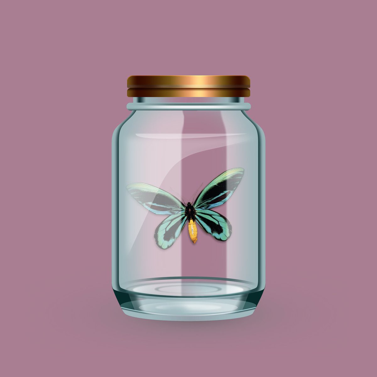13on4k's tweet photo. Good morning all butterflies-lovers 🦋❤️
#NFT #NFTCommunity #NFTs #NFTGiveaways #nftcollector #NFTProject #NFTGiveaway #NFTProjects #nftart #NFTsales #NFTCollection #NFTartists #NFTartwork #NFTartist #NFTNYC2023 #NFTjapan #Web3 #artwork #artshare https://t.co/n9F5A7g79V