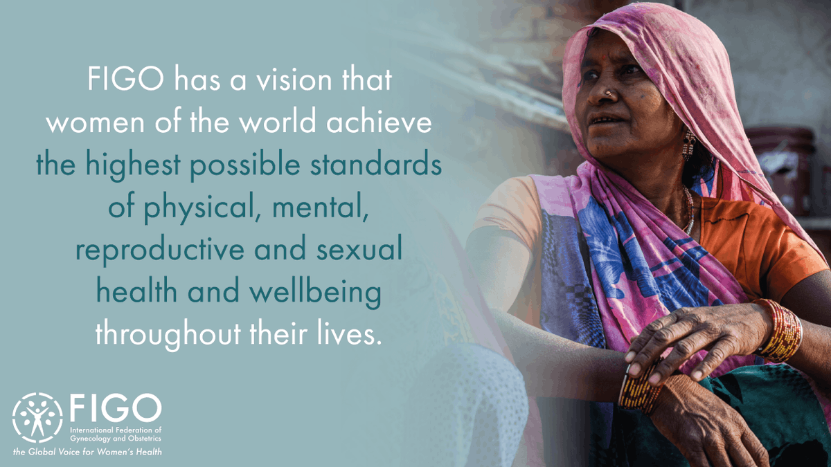 FIGO will elevate the status of women &amp; girls’ health, reduce disparities in health care, and advance the science and practice of #OBGYN through education, global research, advocacy &amp; capacity building.

➡️ Read our 2021-2030 Strategic Plan: ow.ly/YHGp50GTn2A

#womenshealth