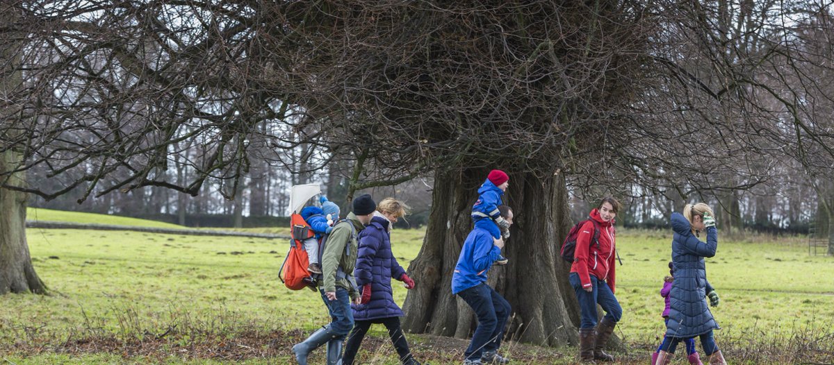 If you're looking for a beautiful Twixmas family walk, click the link below for @nationaltrust's ultimate guide to the best Winter walks in your area. Be sure you take us with you for the adventure! #FruitMadeFun nationaltrust.org.uk/visit/walking