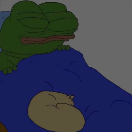 gn to all the builders in this 🐻 market