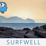 Photo by Surfwell (@opsurfwell)