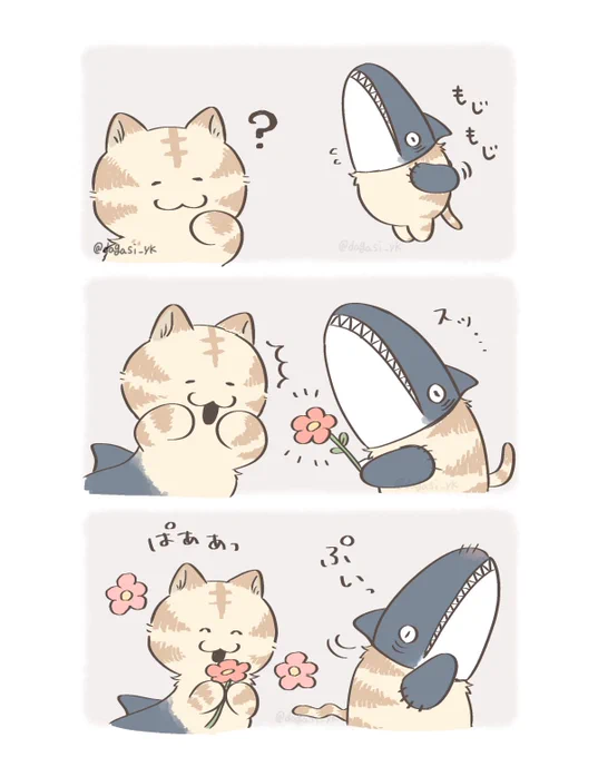 プレゼント 