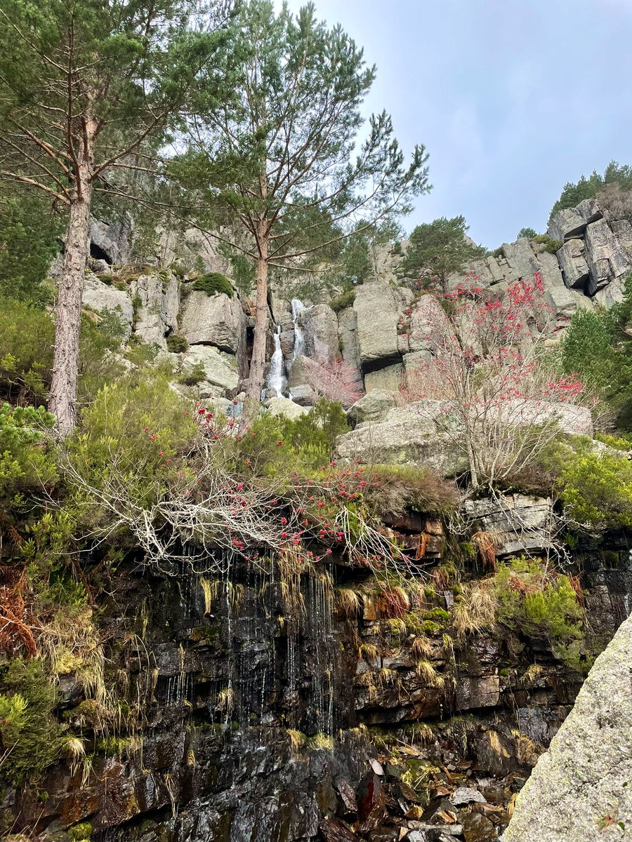 sararomeca's tweet photo. 📍 Laguna negra, Soria. https://t.co/vgRk7sSBzh