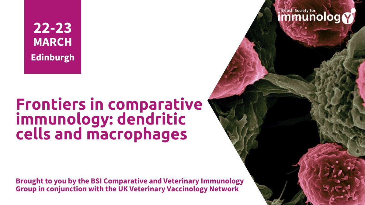 Abstract submission is open for #ComparativeImmunology2023, bringing together researchers working in different species to explore the crucial roles of #DendriticCells &amp; #macrophages 🐖🐁🐔

Submit yours here: bit.ly/3UKNsvX 

Brough to you by BSI <a href="/compvetimm/">BSI_CVIG</a> &amp; <a href="/VetBioNet/">VetBioNet</a>