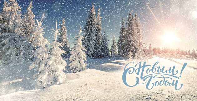Приближается Новый год!
Пусть он станет годом воплощения смелых идей и новых профессиональных достижений.
От всей души желаем Вам встретить этот праздник в кругу самых близких людей, и чтобы он принес все, о чем Вы мечтаете!
Счастья, здоровья, мира и благополучия!