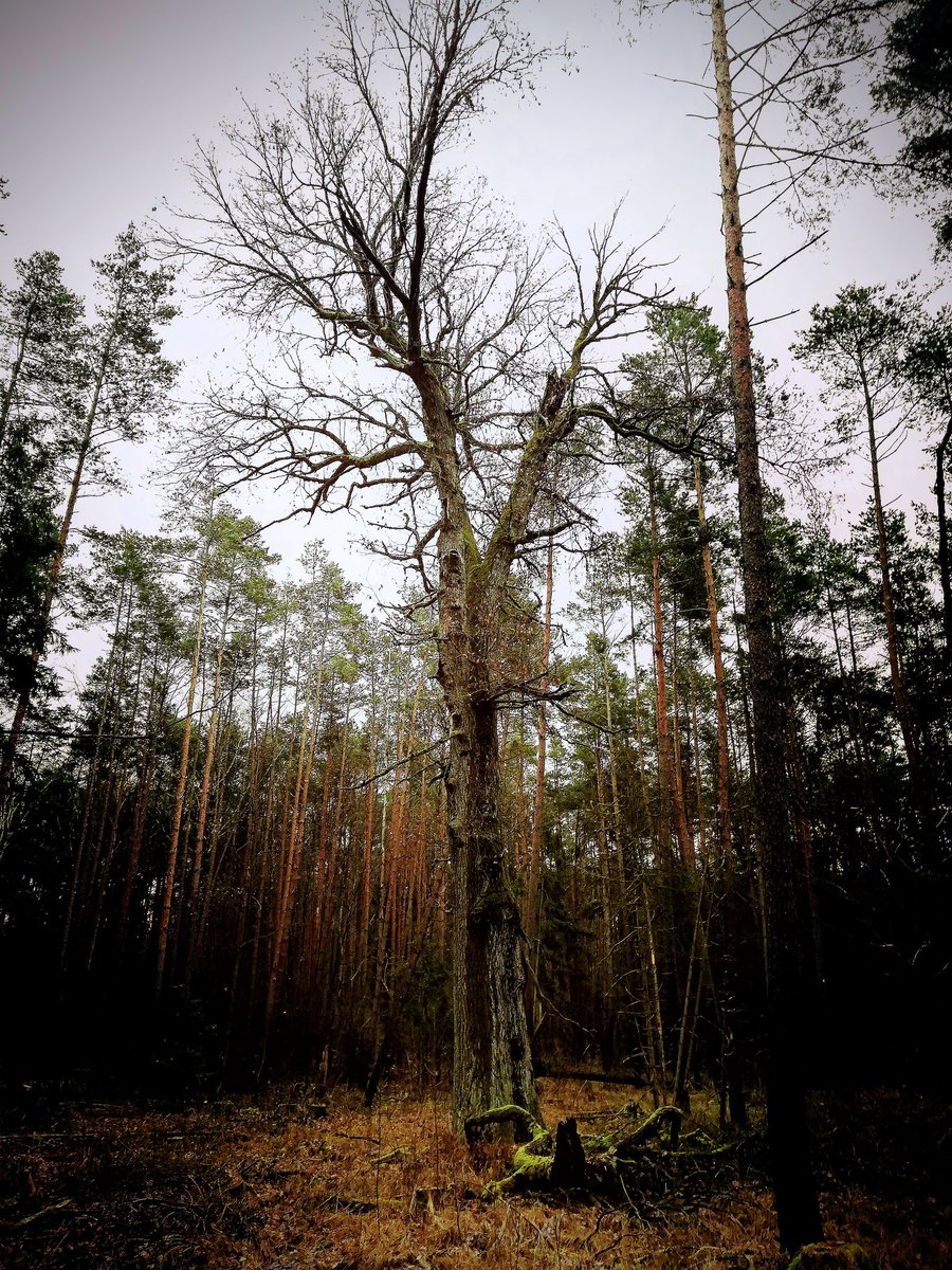 Wünsch Dir was schönes. 🎁
Jeden Tag wieder an Deine Wünsche glauben 🎊 und glücklich sein über dass, was ist. 🍀
Herzliche Grüße Björn. 🙂