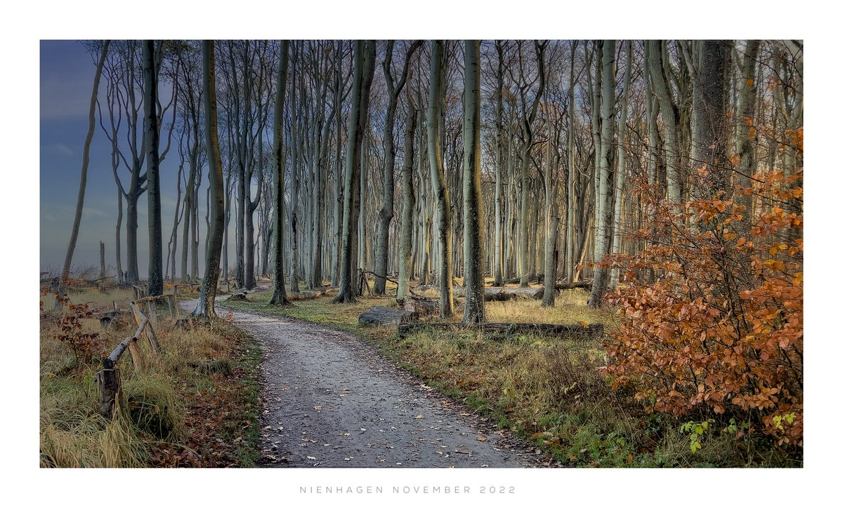 Thomasdphoto's tweet photo. November morning light. Captured with my phone. https://t.co/C3ZWxfTL7F