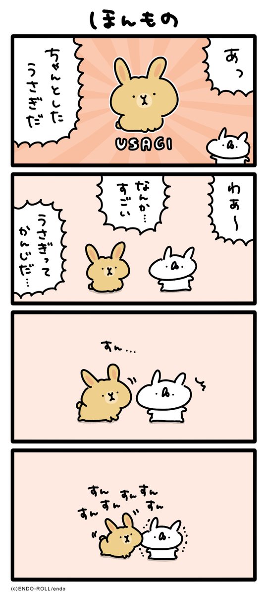 うさぎだー! #うさてい漫画 