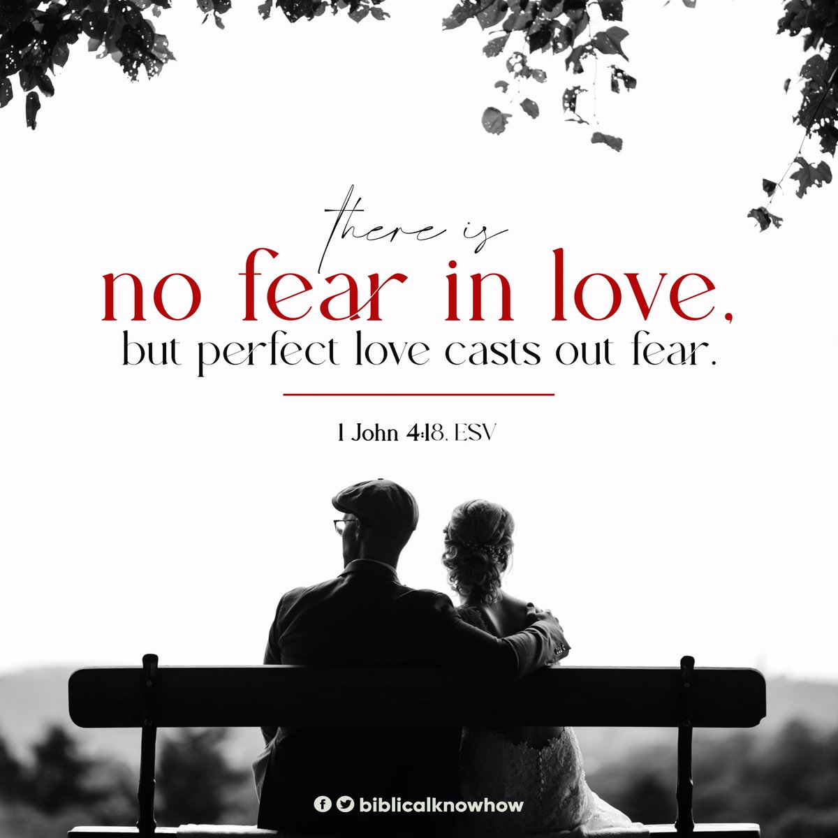 biblicalknowhow's tweet photo. #BiblicalKnowHow #VerseOfTheDay https://t.co/3uuNIUPThU