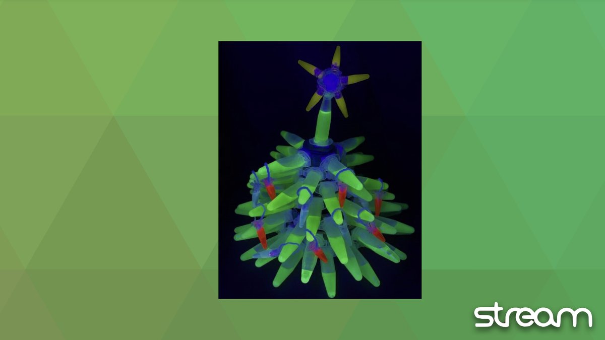 We hope you are having a wonderful holiday season! 🎄

To celebrate, we are revisiting the fluorescent Christmas tree we made using our recycled Conjugated Polymer #Nanoparticles – CPN 420, 550, 510B, and 610. #DiscoverBright below!