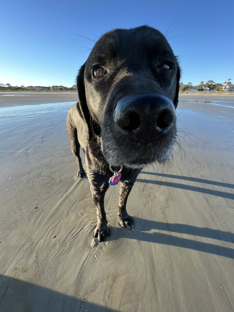 Jamie Broderick tweet media