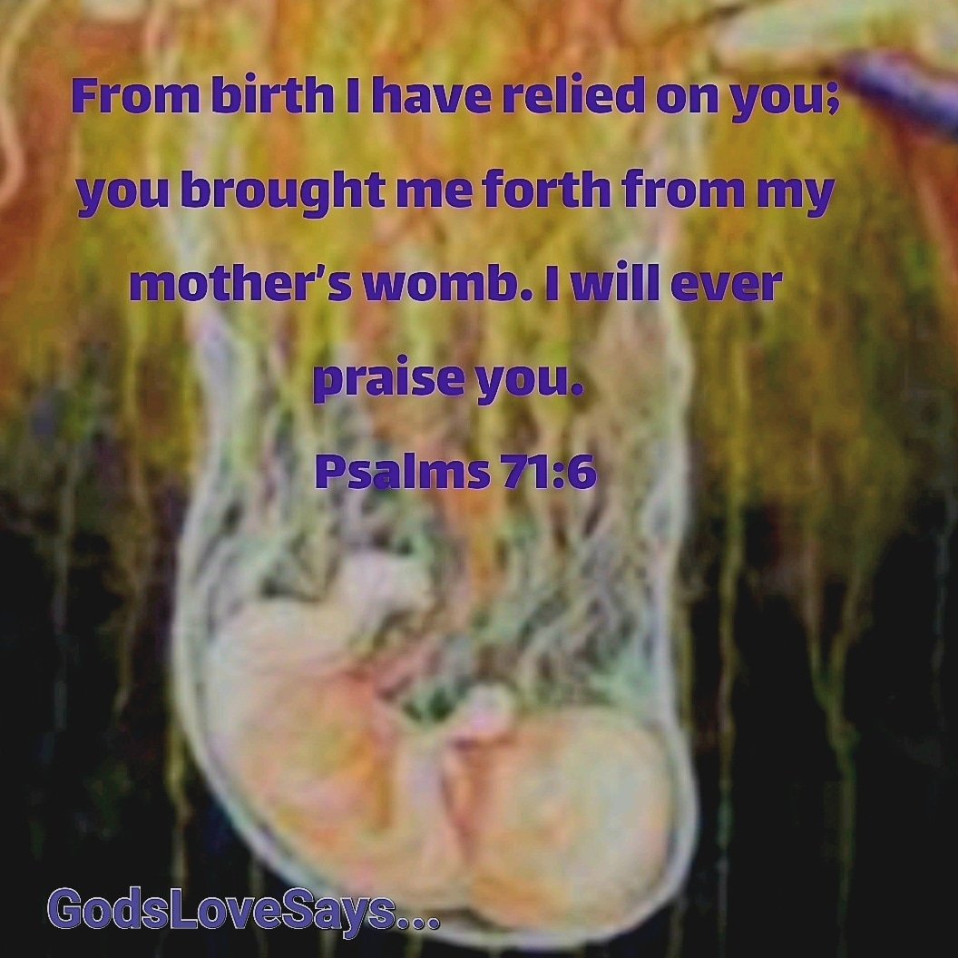 HornettPam's tweet photo. From my birth I have leaned on You. You took me out of my mother’s womb. My praise is always about You.
🙌🏻
Psalms 71:6
#GodsLoveSays #psalms #birth #leaned #mothers #womb #praise #You https://t.co/7Idc3hM7OT