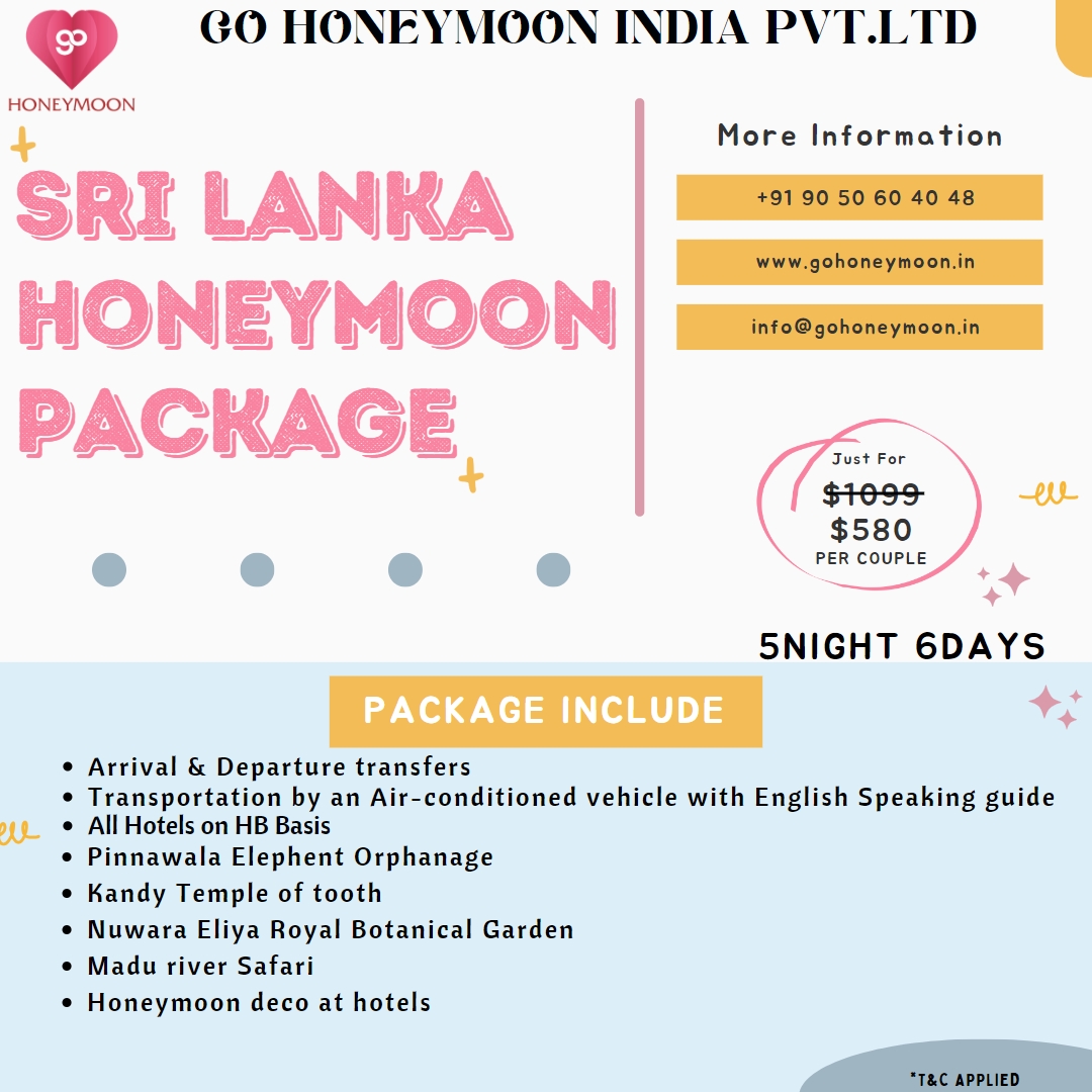 gohoneymoon2's tweet image. Planning to visit Sri Lanka For honeymoon we got offer price for you at just Usd-580.
T*C applied
For more details:-)
+91 90 50 60 40 48
info@gohoneymoon.in
.
.
.
#BestPlacesToVisit2023 #Christmas #Where2Go #Contest #Santa #Reels #ChristmasContest #RéunionIsland #SriLanka