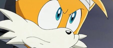 “Knuckles… You’re their hope! No matter what, I 𝘬𝘯𝘰𝘸 you can win! So, hurry up and finish this already!”

「 #ENDANGEREDSPECIES  」