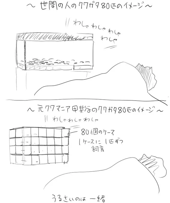 岸くんクワガタ80匹飼ってたんだなあ #クワガタ80匹 