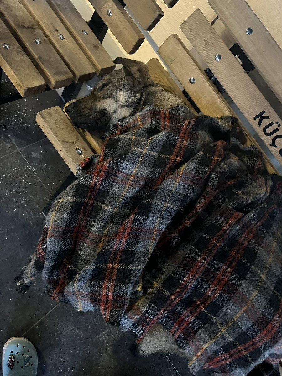 s.d (@osewertj) on Twitter photo 