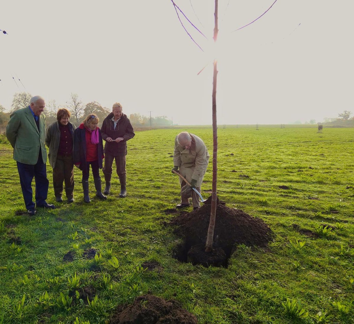 In late November, His Majesty The King was accompanied by the Lord Lieutenants of Cambridgeshire, Lincolnshire, Norfolk and Suffolk to plant the 100th sapling creating a new area of woodland pasture on the Estate for @queensgreencanopy