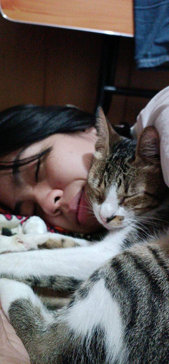 arcelaxx's tweet photo. my boyfriend and I had drinks kagabi and before that we talked about possible red flags ng isa't isa na most likely is maccommit namin. 

He had 5 shots while I had 12, and boy di ko na maalala ganaps after cuddling with our cat. 

He cleaned everything up and tucked me to bed 🥺 https://t.co/4YY6VM4uQK