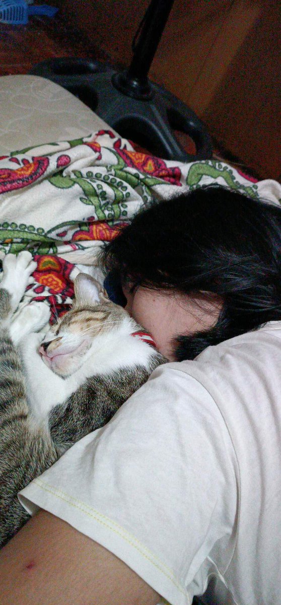 arcelaxx's tweet photo. my boyfriend and I had drinks kagabi and before that we talked about possible red flags ng isa't isa na most likely is maccommit namin. 

He had 5 shots while I had 12, and boy di ko na maalala ganaps after cuddling with our cat. 

He cleaned everything up and tucked me to bed 🥺 https://t.co/4YY6VM4uQK
