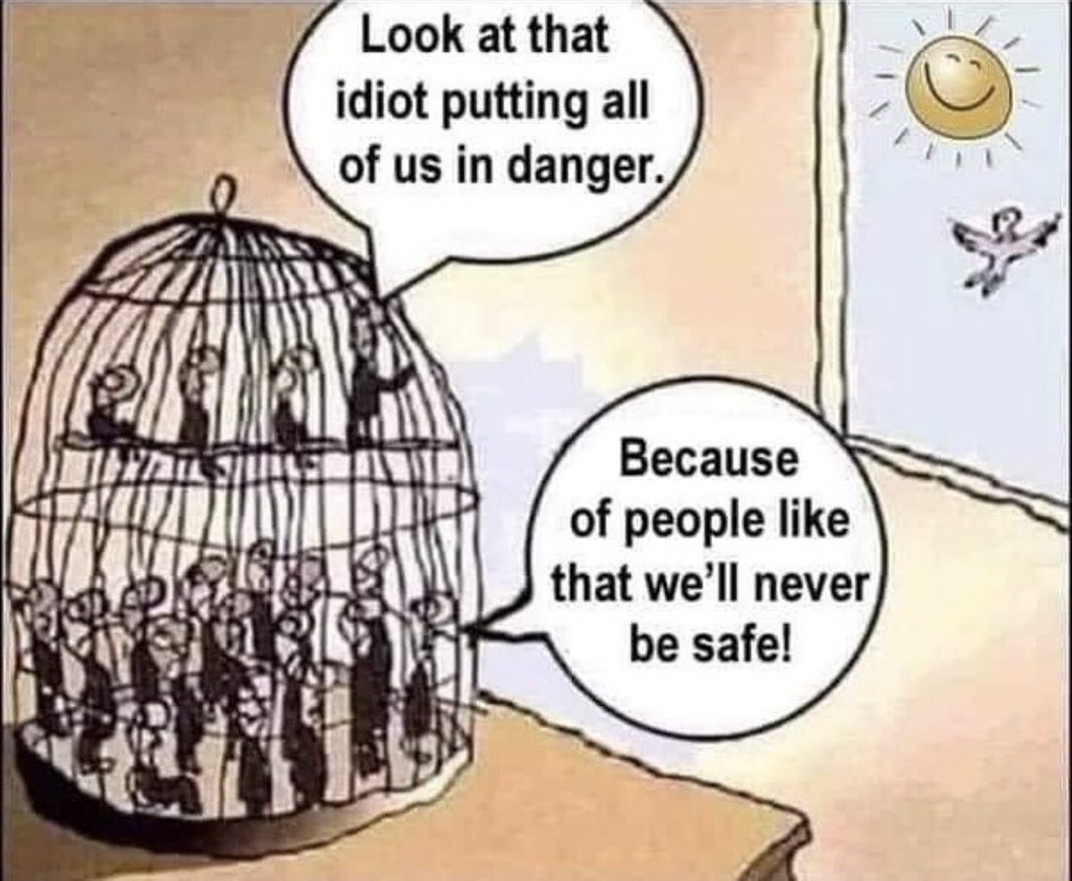 Rita Panahi tweet media