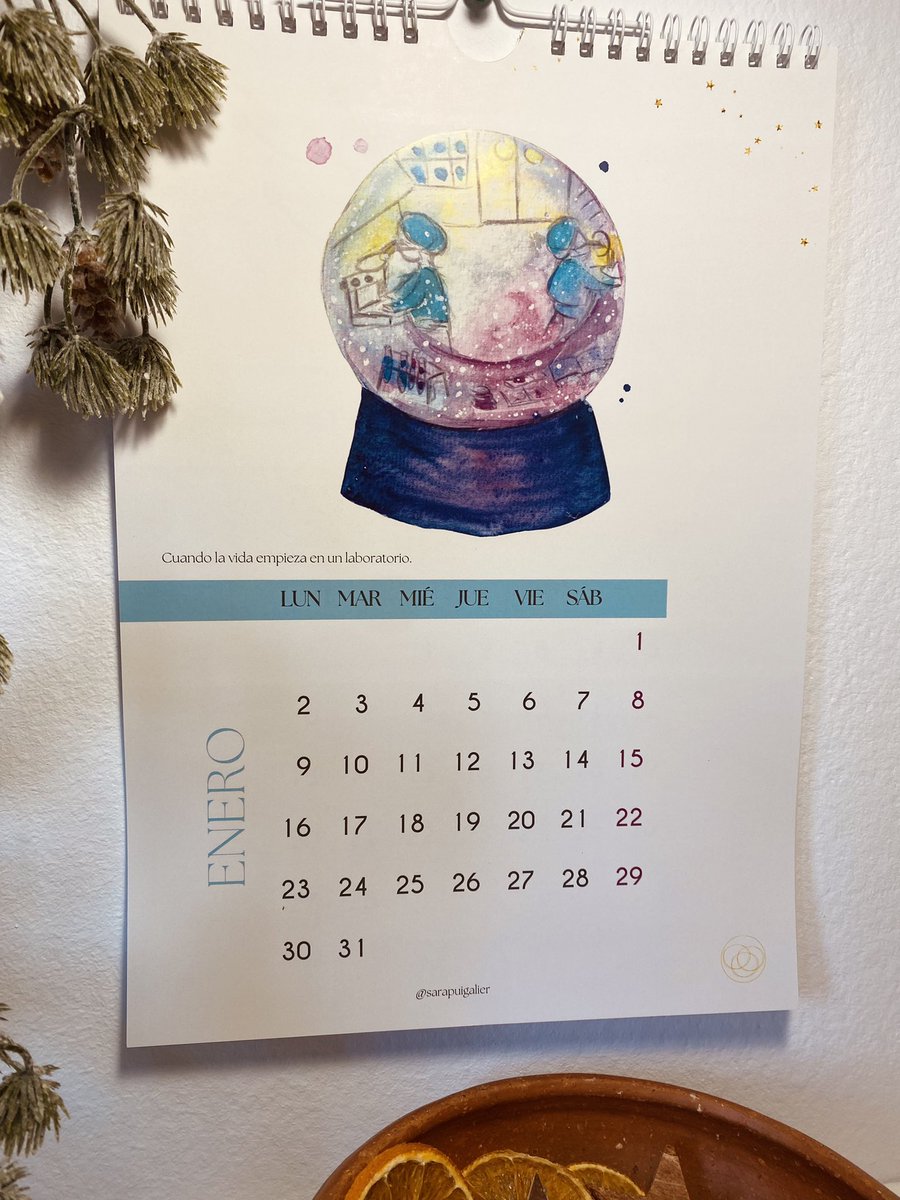 #infertilpandy Me quedan los últimos ejemplares de un calendario que ya no volverá. Ilustrado en acuarela con imágenes relacionadas con la reproducción asistida y la infertilidad, pero lleno de color. Se agradece retweet. Para pacientes y profesionales 💗 sarapuigalier.com/producto/calen…