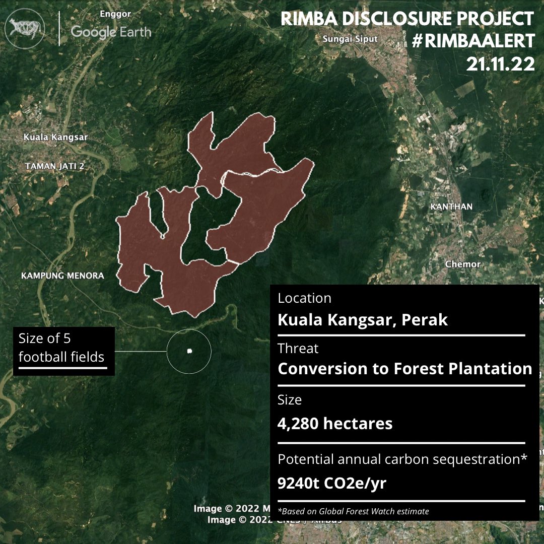 Today, the DOE published this EIA for 4,280ha of forest plantations in Kledang Saiong Forest Reserve. If approved, this project will wipe out nearly all of the forests north of the Menora tunnel on the North-South Highway – an area nearly the size of Putrajaya.