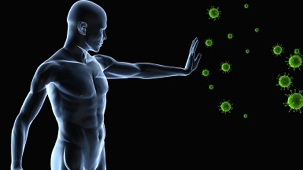 لرفع كفاءة جهازك المناعي ضد الفيروسات الشتويه تناول الاتي✨️👇🏻
البرتقال
الجوافة 
الكيوي .. بعض الدراسات أشارت إلى مساهمة عصير الكيوي في علاج مشاكل الجهاز التنفسي المختلفة وحتى مشكلة السعال.
اليوسفي 
المانجو 
الطماطم 
الينسون