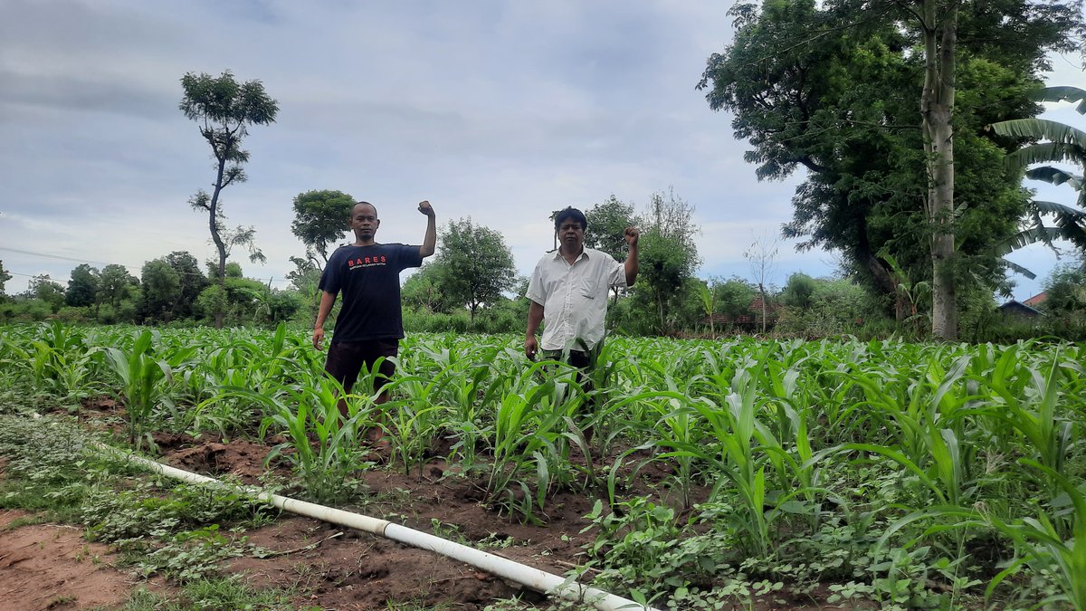 SeknasKPA's tweet photo. Tanah garapan petani Sendang Pasir, Buleleng, Bali. Sudah menjadi lahan pertanian yang hijau dan subur, pemukiman dan infrastruktur desa yang dibangun secara gotong royong. 

Tanah garapan ini merupakan eks HGU PT. Margarana yang sudah habis masa berlakunya sejak 2005.

#LPRA https://t.co/bLYcvIDLOJ