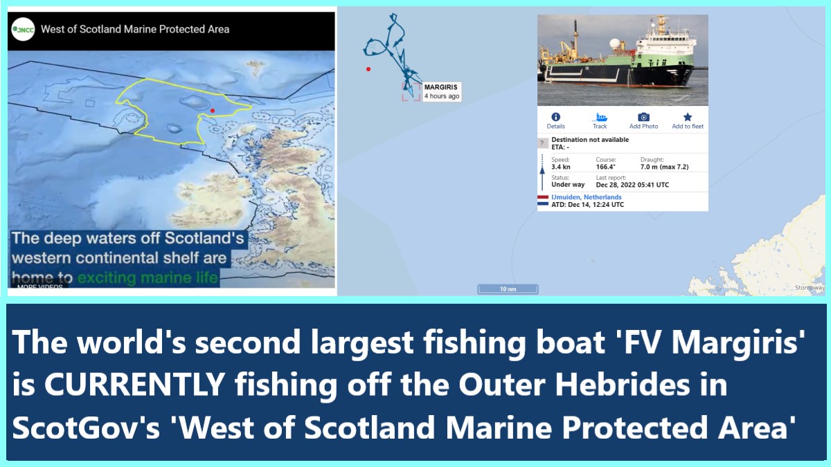 PantoPolitics22's tweet photo. 💥OUTRAGE when FV Margiris reported fishing off Brighton Coast
🤯NOW world's 2nd largest fishing boat CURRENTLY fishing off the Outer Hebrides in ScotGov 'Marine Protected Area'
🛳️142m long 🐟Can catch around 250 tons of fish daily 🎣Nets 600m long & 200m wide
⚖️Carries 6000tns https://t.co/ACtENi5pEC
