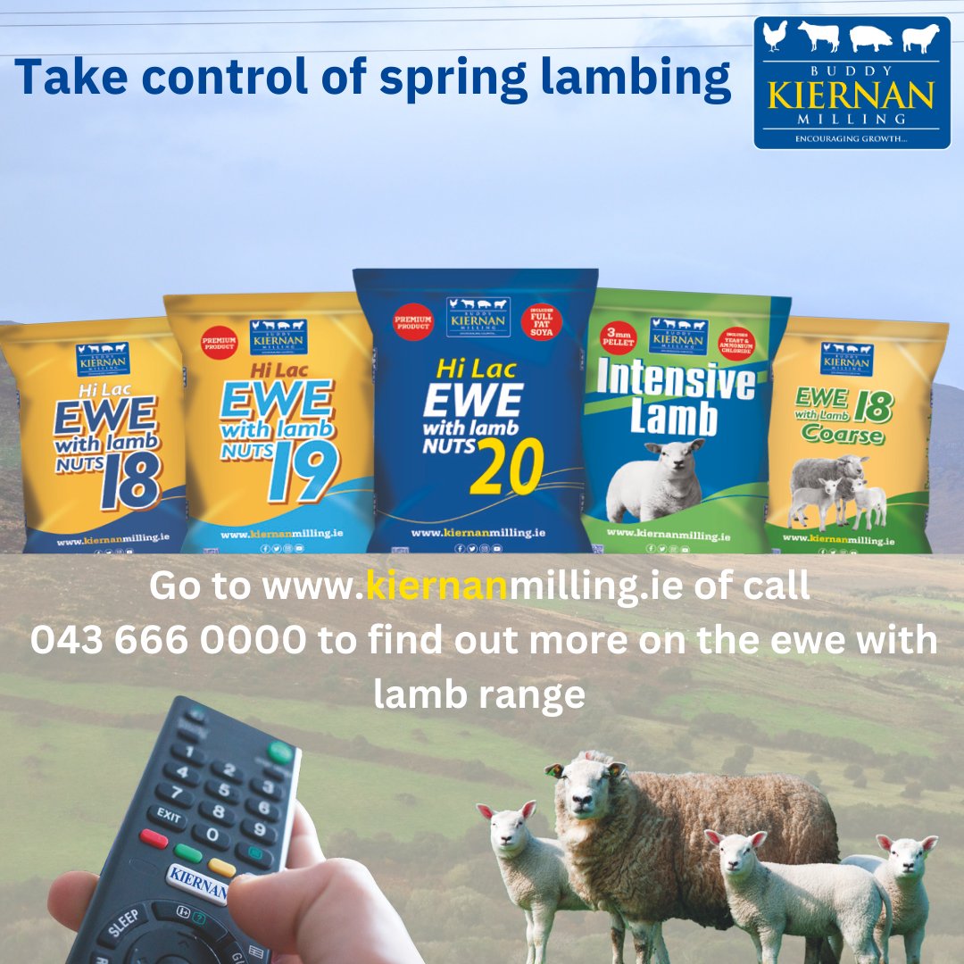 Take control of spring lambing🐑... visit kiernanmilling.ie or call us on 043 666 0000📞
Business as usual today! 🔔

#qualityanimalfeeds #kiernanmilling #lambingseason