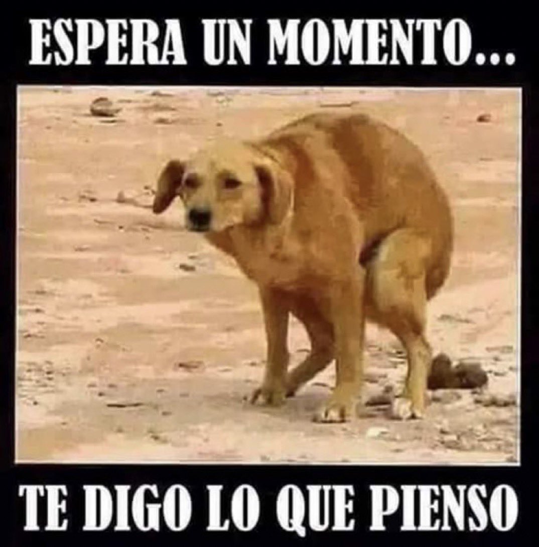 SrComadreja's tweet photo. @TeresaRodr_ https://t.co/yTWMGKGctP