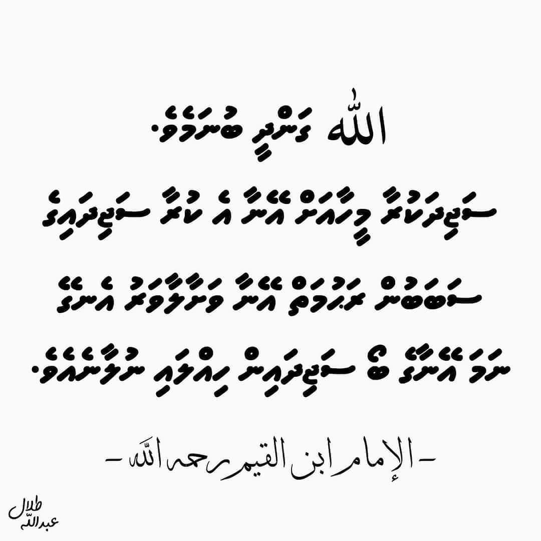 Mashhood (@mashhoo66464530) on Twitter photo 