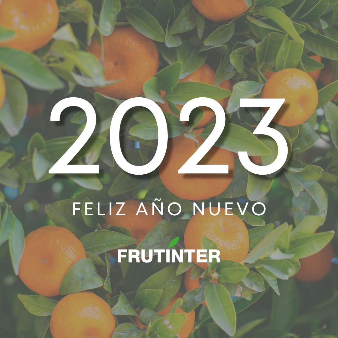frutinter's tweet photo. ¡Todo el equipo de Frutínter os desea un feliz año nuevo 2023! 🍊🍉🍈
#frutinter #enfrutintercuidamos #lasaluddelaspersonasydelplaneta #Nochevieja #AñoNuevo #sinfoniagold #sinfonia #usoprades #duquessa #lavila #defry #sylma #vilareal #onda #alcoleadelrio #mercamadrid #mercabarna https://t.co/42SB5JJalA