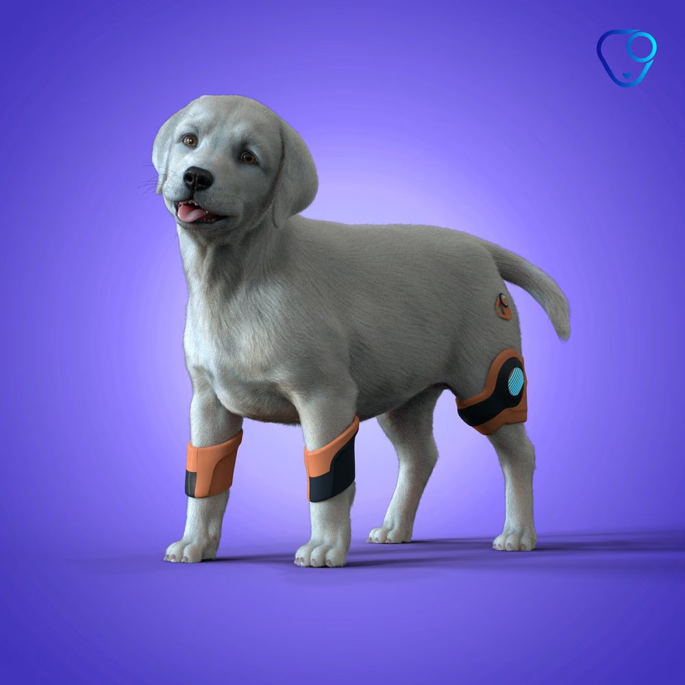 🦖🦖mell0r28 🦖🦖 tweet media