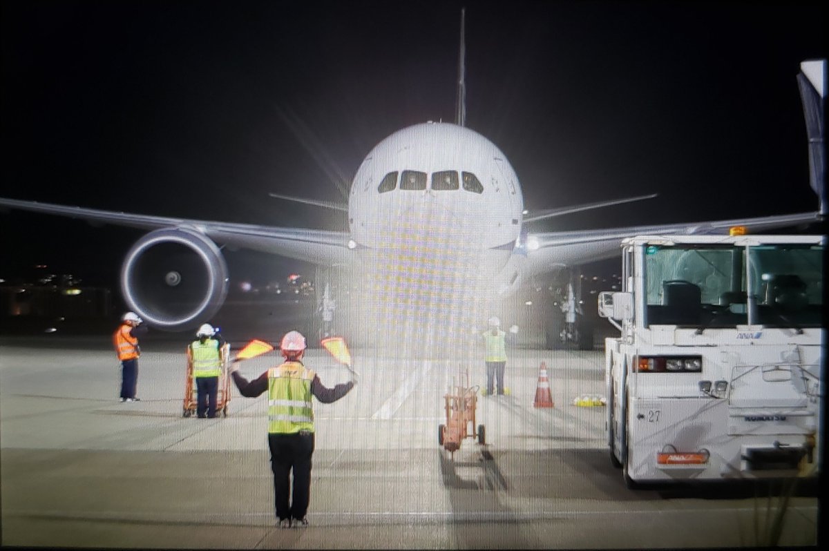 kaito_Ng46's tweet photo. ANA613 from Tokyo(Haneda)↓

…せめてノーズは消しましょう？眩しすぎます() https://t.co/HgWhoUJpFt